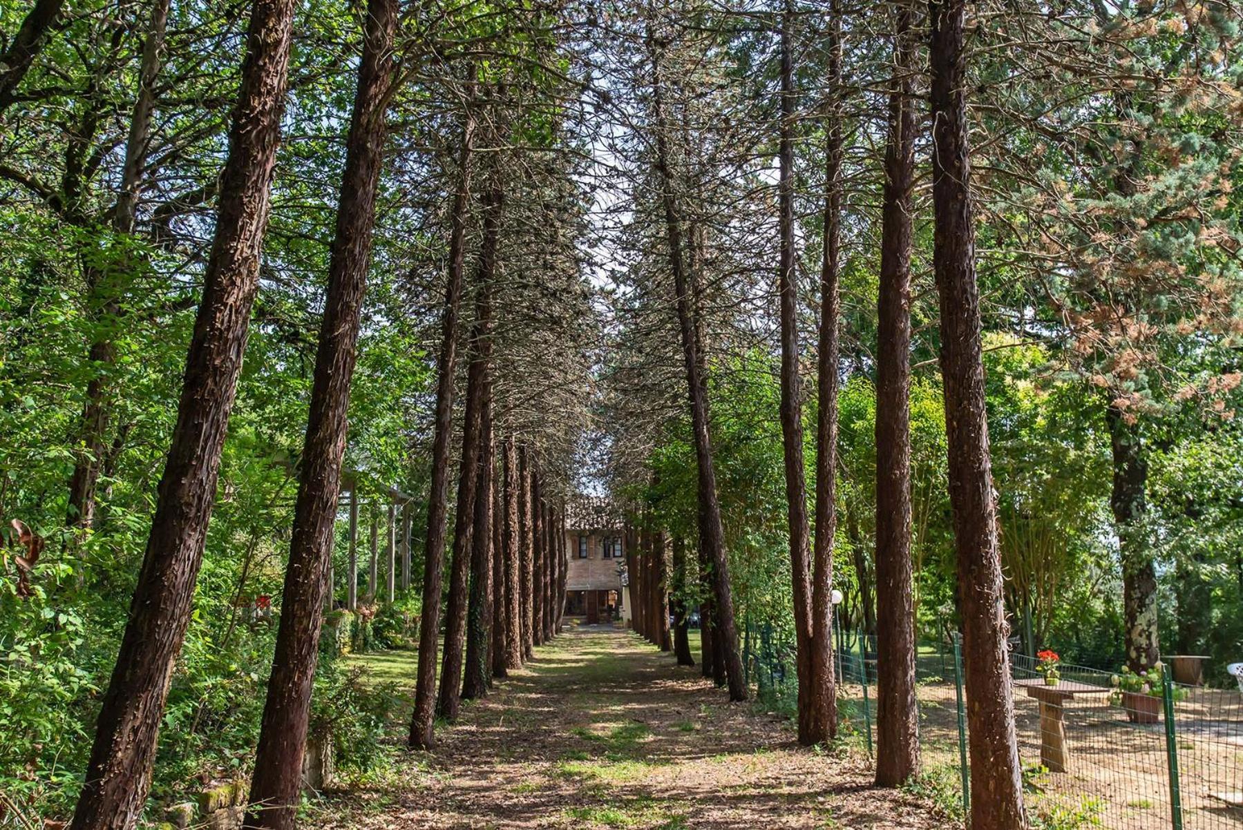 Agriturismo Villa Alari Cetona Exteriör bild